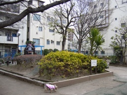 P1050383.JPG