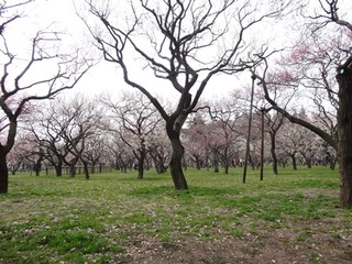 http://www.tohofudosan.jp/staff/assets_c/2014/03/DSC00677-thumb-320x240-905.jpg