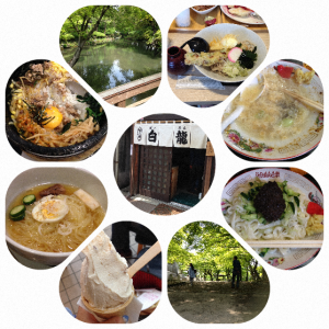 2015-26-6--11-15-00
