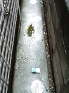 DSCF1770